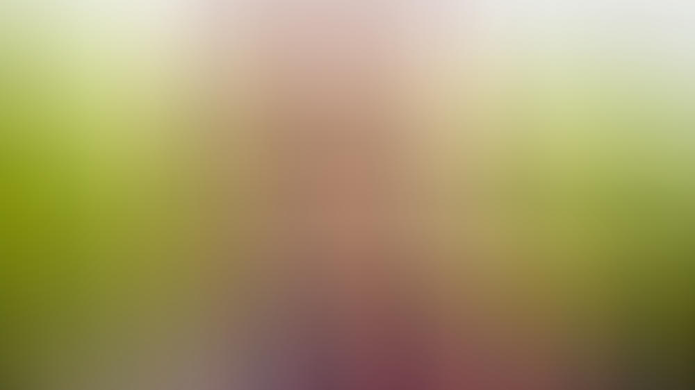 RTLzwei zeigt dritte "Love Island"-Staffel im Nachmittagsprogramm RTLzwei zeigt dritte "Love Island"-Staffel im Nachmittagsprogramm