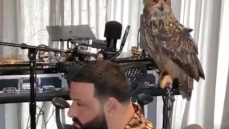 DJ Khaled und Drake: Neue Kollaboration in Arbeit DJ Khaled und Drake: Neue Kollaboration in Arbeit