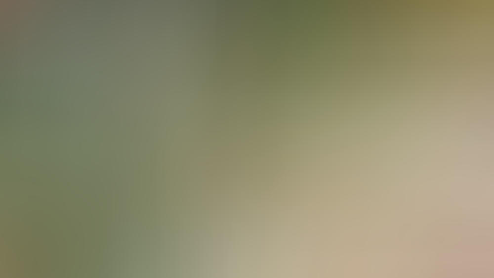 So geht es Rosenrost an den Kragen So geht es Rosenrost an den Kragen
