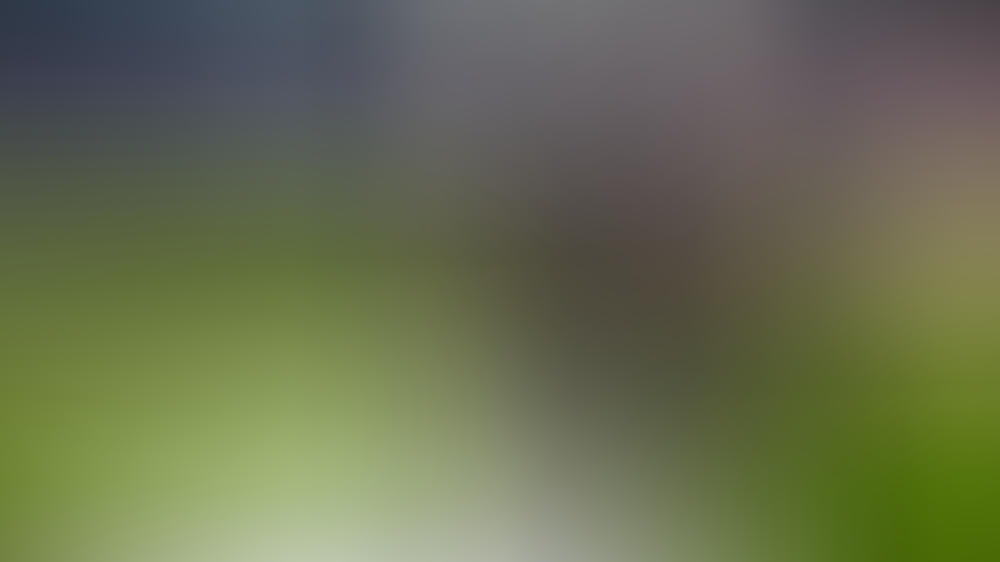 Oliver Kahn hört als ZDF-Experte auf Oliver Kahn hört als ZDF-Experte auf
