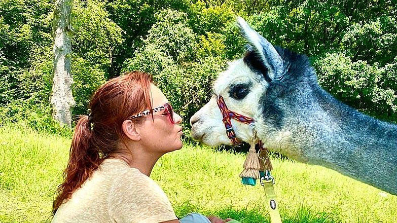 Andrea Berg: Zuckersüßer Alpaka-Nachwuchs auf dem Hof Andrea Berg liebt ihre Tiere über alles.