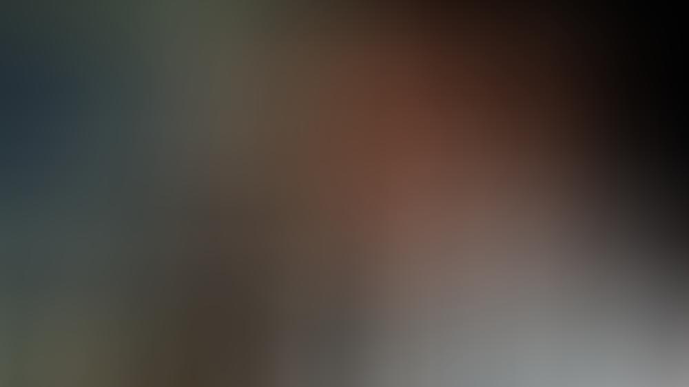 "Hör mal, wer da hämmert"-Stars kehren ins TV zurück "Hör mal, wer da hämmert"-Stars kehren ins TV zurück