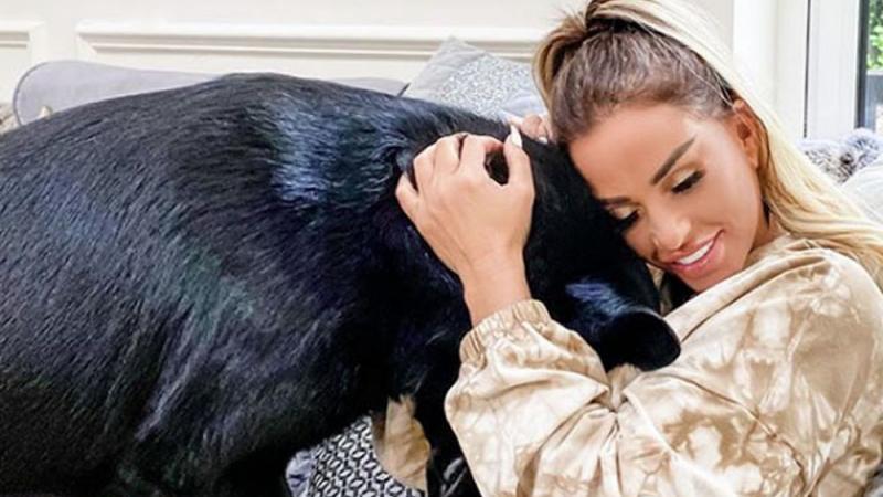 Katie Price im Sternensegen Katie Price im Sternensegen