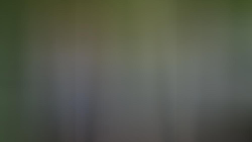 Herzogin Kate liebt sie: Warum die Weste zu Unrecht unterschätzt wird Herzogin Kate liebt sie: Warum die Weste zu Unrecht unterschätzt wird