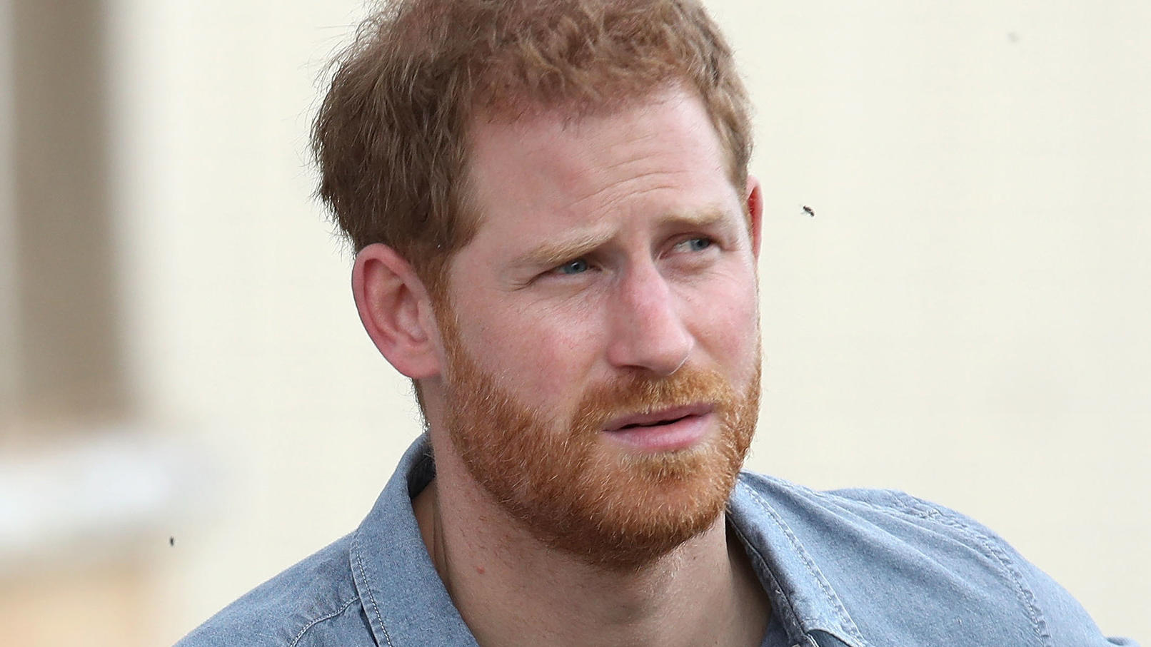 Lässt Prinz Harry die Royal Marines im Stich? Kritik für Prinz Harry.