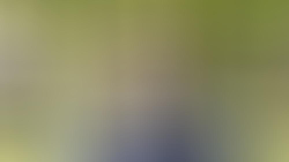 Domenico de Cicco war zehn Jahre lang nicht beim Zahnarzt Domenico de Cicco war zehn Jahre lang nicht beim Zahnarzt