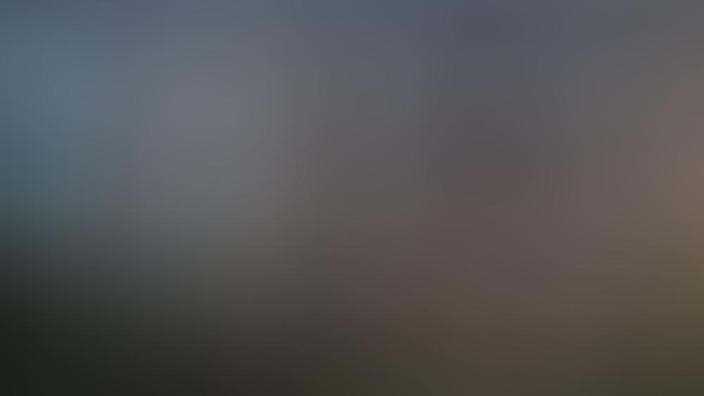 "Die Bachelorette": Vier Männer, vier Küsse, eine Entscheidung "Die Bachelorette": Vier Männer, vier Küsse, eine Entscheidung