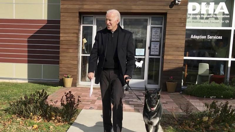 Mit Schäferhund gespielt Joe Biden verletzt sich am Knöchel