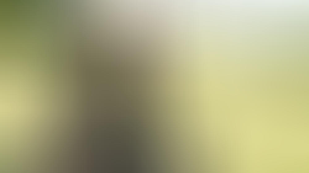 Fünf neue "Frühling"-Filme mit Simone Thomalla bestätigt Fünf neue "Frühling"-Filme mit Simone Thomalla bestätigt