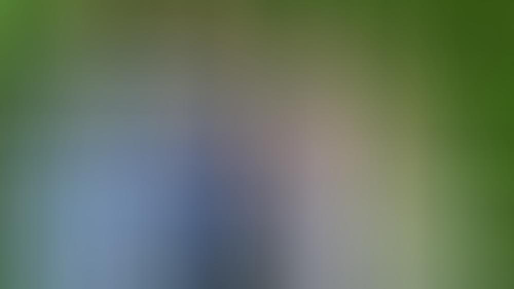 Countdown zur Dschungelshow: Dr. Bob ist gelandet Countdown zur Dschungelshow: Dr. Bob ist gelandet