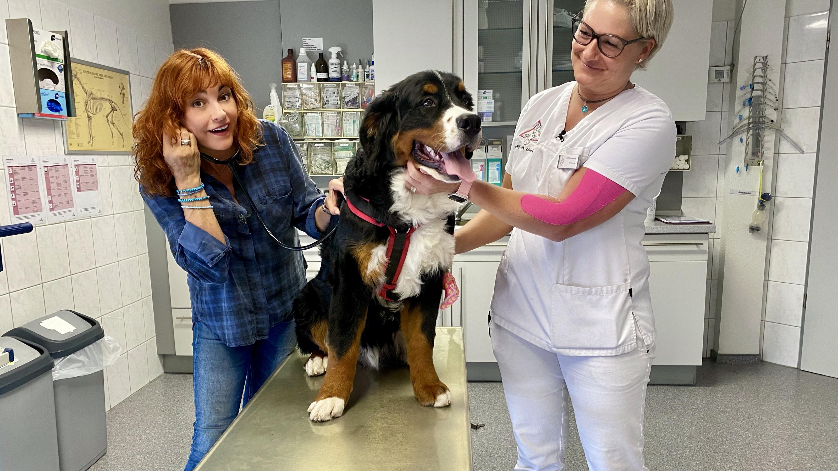 hundkatzemaus: Diana Eichhorn verlässt das VOX-Haustiermagazin hundkatzemaus: Diana Eichhorn mit Tierärztin Uta Rönneburg von der Tierklinik Lüneburg.