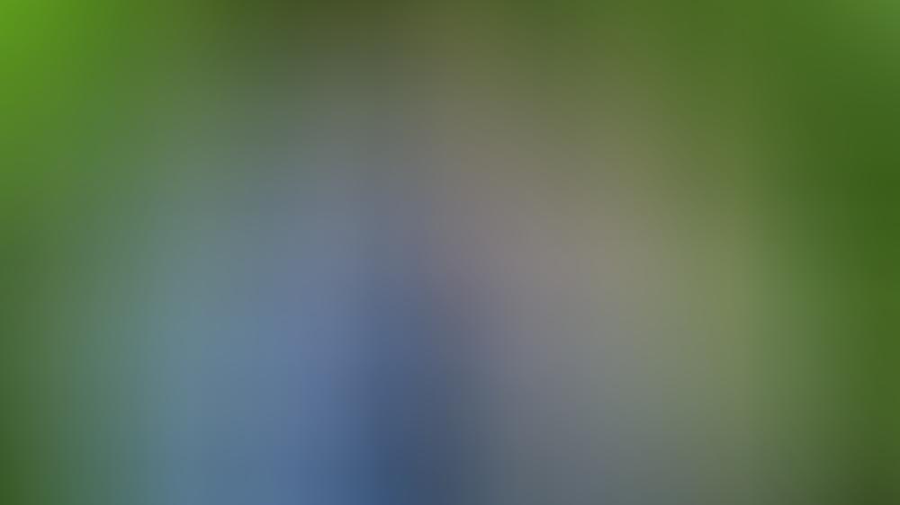 "Ich bin ein Star - Die große Dschungelshow": Alle Infos zur RTL-Show "Ich bin ein Star - Die große Dschungelshow": Alle Infos zur RTL-Show