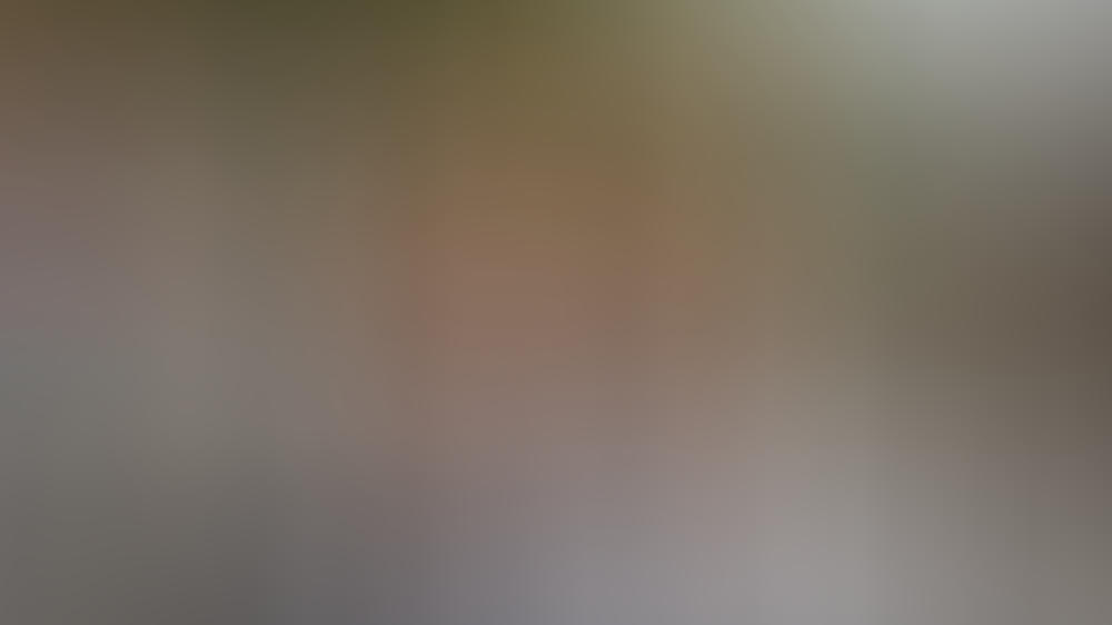 Ellen DeGeneres meldet sich nach Covid-19-Erkrankung zurück Ellen DeGeneres meldet sich nach Covid-19-Erkrankung zurück