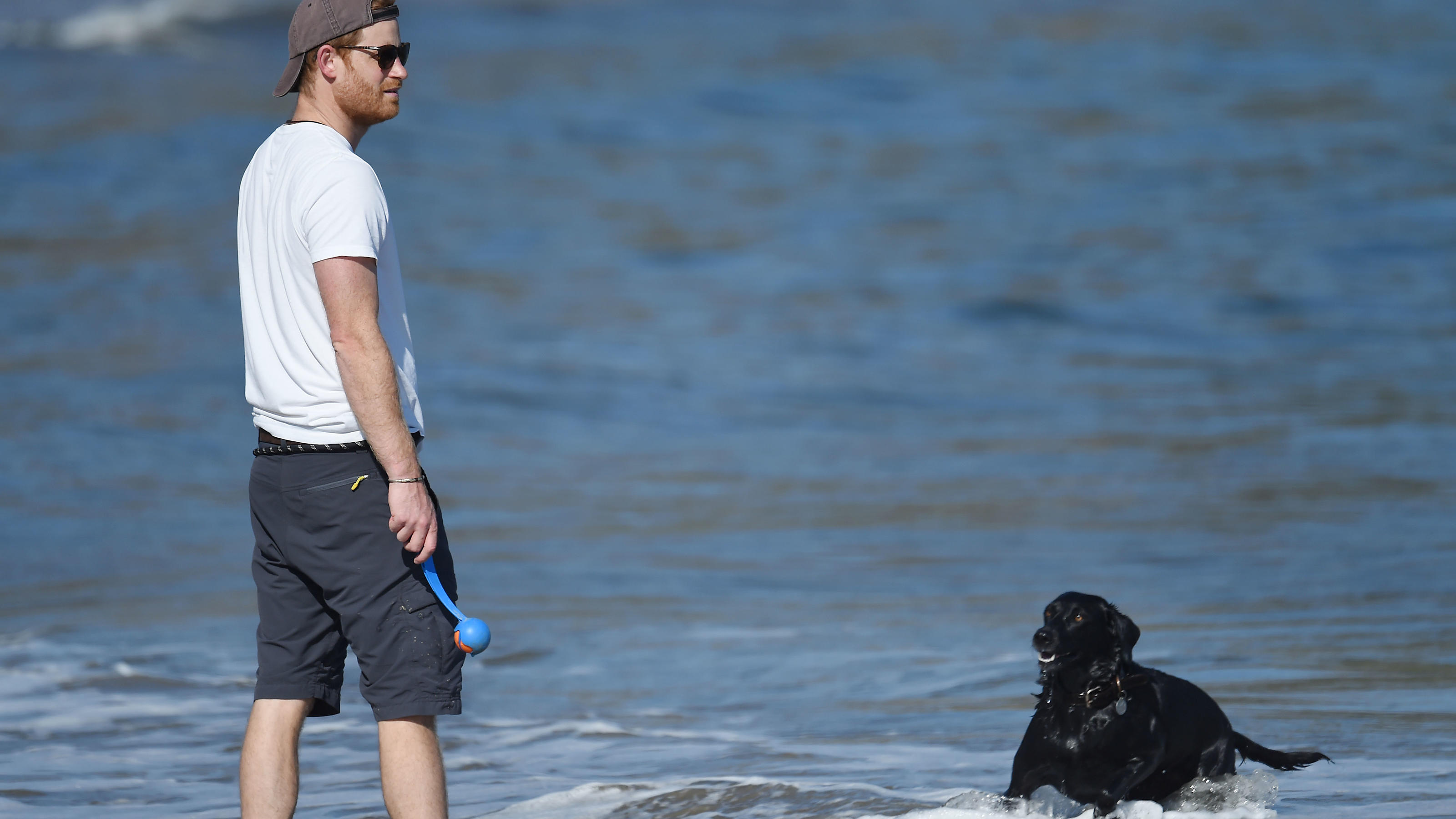 Prinz Harry tobt bei royaler Auszeit mit Hündin Pula am Strand herum Prinz Harry genießt am Strand von Santa Barbara eine kleine Auszeit mit seiner Hündin.