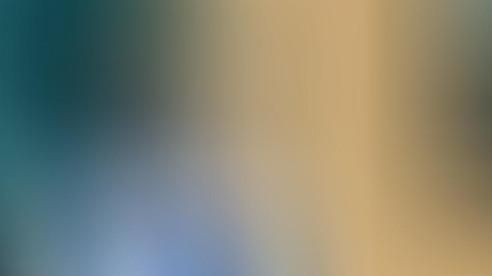 Prinzessin Dianas altes Fahrrad wird versteigert Prinzessin Dianas altes Fahrrad wird versteigert