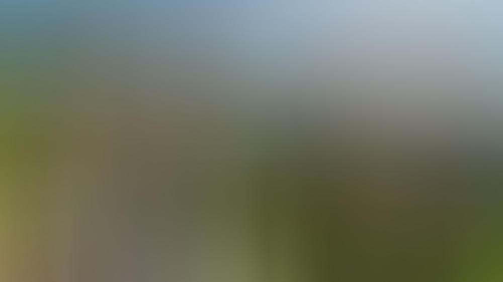 TV-Tipps am Freitag TV-Tipps am Freitag