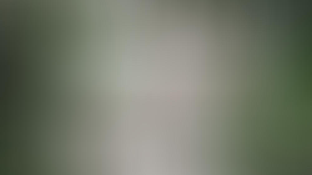 TikTok-Trend Chlorophyll: Was hat es mit dem Hype auf sich? TikTok-Trend Chlorophyll: Was hat es mit dem Hype auf sich?
