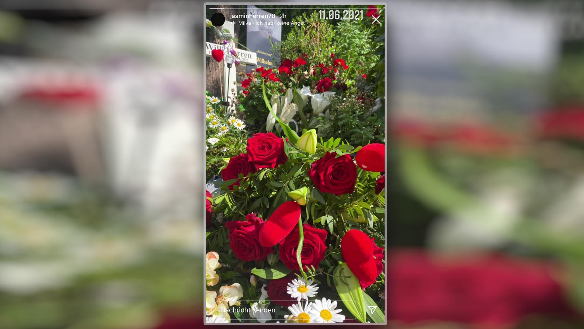Bewegender Besuch: Witwe Jasmin Herren trauert an Willis letzter Ruhestätte Jasmin Herren zeigt die Blumen auf Willis Grab