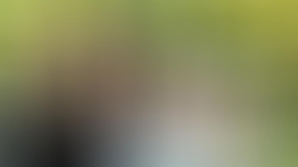 Sophia Cordalis: Erste TV-Show - wie hat sich die Tochter von Daniela Katzenberger geschlagen? Lucas Cordalis und Daniela Katzenberger sind seit 2015 Eltern ihrer Tochter Sophia.
