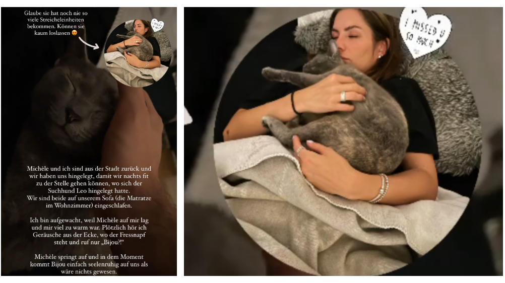 Ex-Bachelor Niko Griesert & Michèle de Roos: Ihre geliebte Katze ist wieder da Niko und Michèle freuen sich über Bijous Rückkehr.