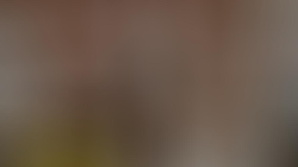 Fake-News und Beauty-Filter: So schützen wir uns im Netz Fake-News und Beauty-Filter: So schützen wir uns im Netz