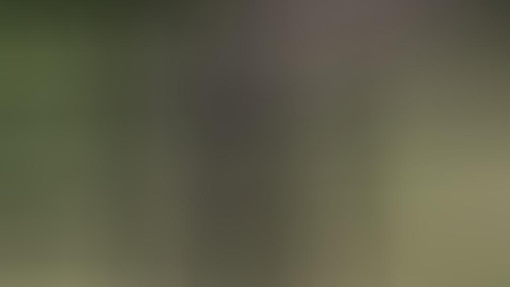 Pause von ihrem Lieblingshobby: Kann die Queen bald wieder reiten? Pause von ihrem Lieblingshobby: Kann die Queen bald wieder reiten?