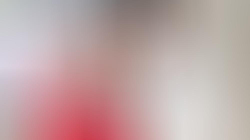 Promi-Hochzeiten 2022: Diese Stars wollen vor den Traualtar treten Promi-Hochzeiten 2022: Diese Stars wollen vor den Traualtar treten