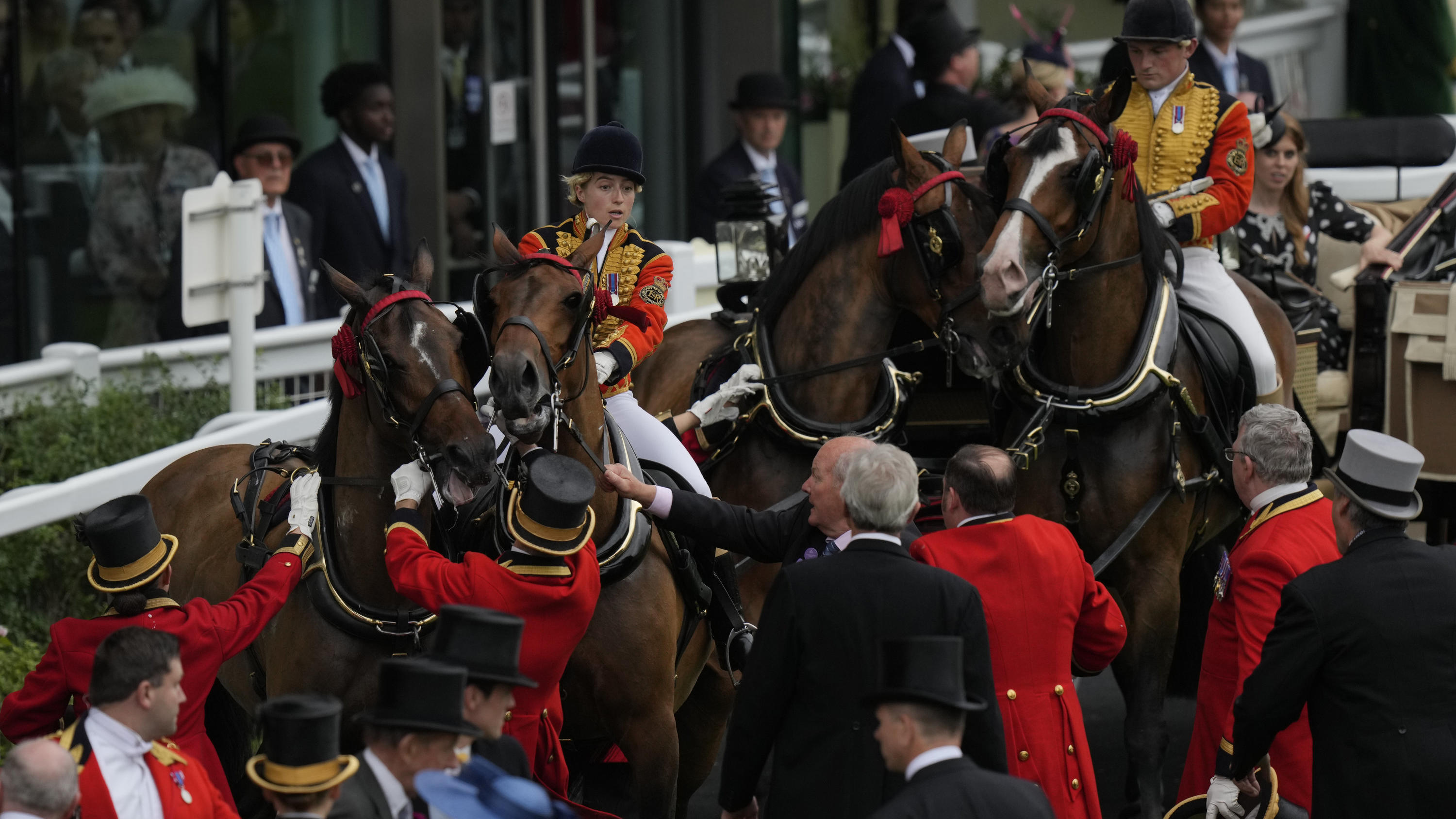 Schock für Prinzessin Beatrice: Pferd bockt bei Parade in Royal Ascot Schreckmoment für Prinzessin Beatrice in royal Ascot: Ein Pferd, das ihre Kutsche zieht, bockt.