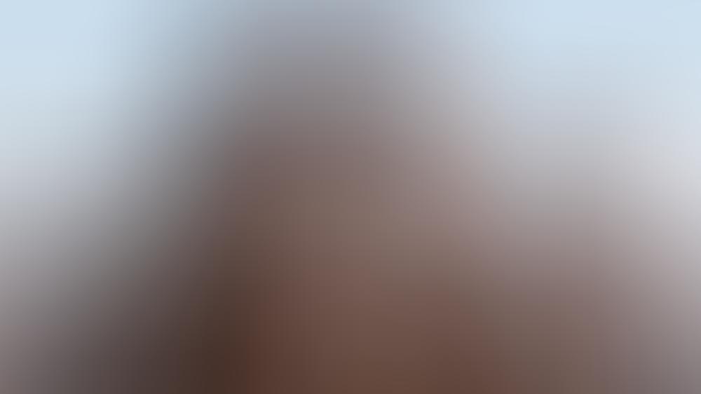 Zweiter Teil von "Dune" auf November 2023 verschoben Zweiter Teil von "Dune" auf November 2023 verschoben