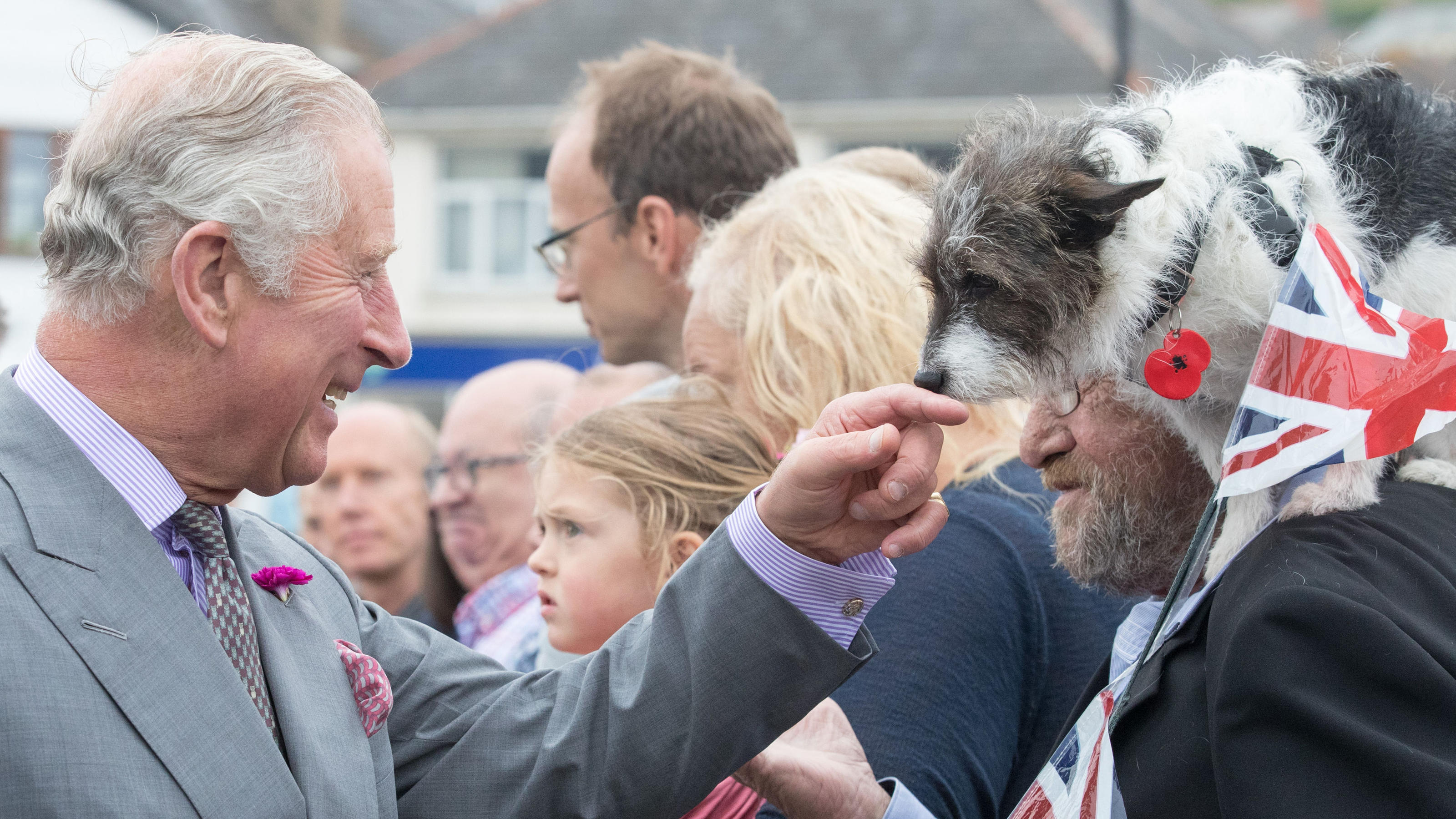 Königlich rührendes Herrchen: So schön ist die Gedenkstätte für Charles' toten Hund Charles begrüßt in Wales einen tierischen Schaulustigen