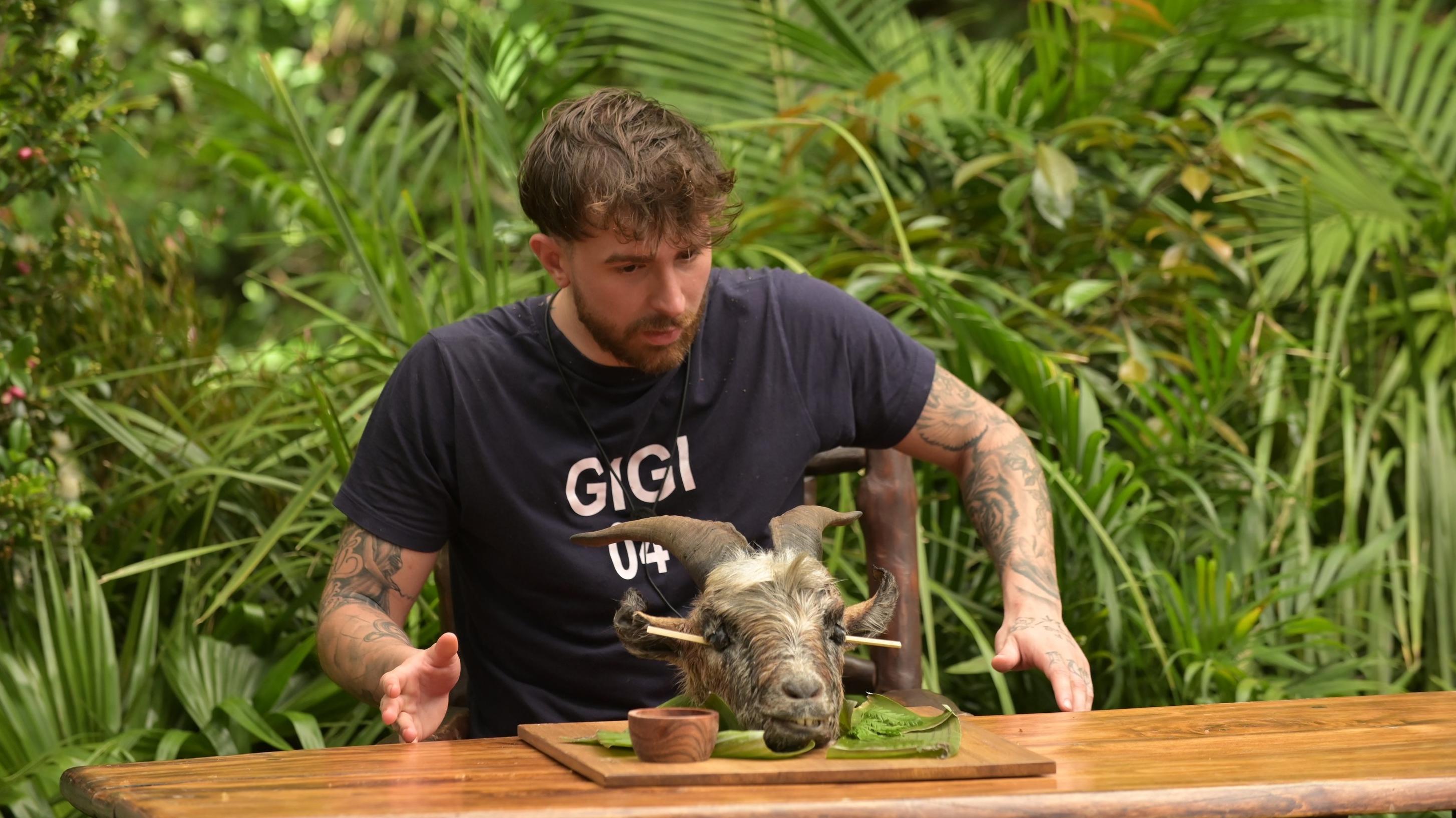 Djamila, Lucas oder Gigi: Das erwartet die drei in ihren letzten Dschungelprüfungen HANDOUT - 29.01.2023, Australien, Brisbane: Reality-Darsteller Gigi Birofio bestreitet an Tag 17 der RTL-Show «Ich bin ein Star - Holt mich hier raus!» die Dschungelprüfung "Krass" und kämpft für den Hauptgang. Er gehört zu den drei Finalisten. Foto: