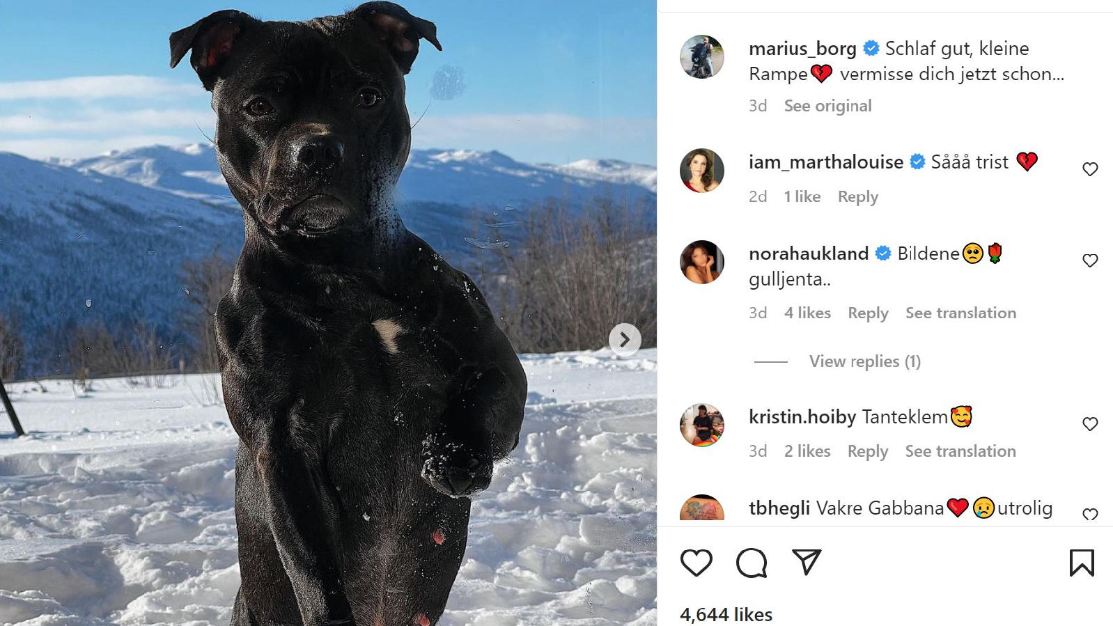 Take That wird bei der Krönung von König Charles' auftreten – aber ohne Robbie Marius Borg Høiby trauert um seinen Hund