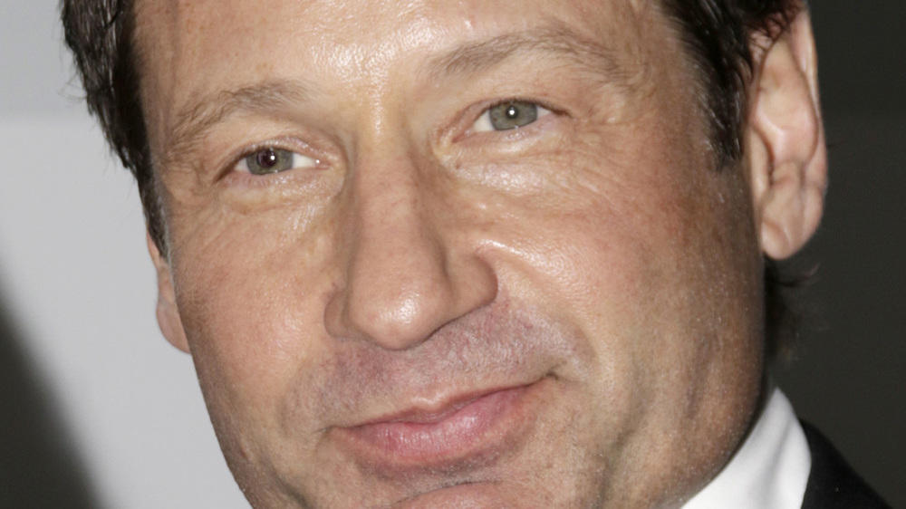 'Akte X'-Star David Duchovny blickt zum Serien-Comeback auf seine Anfänge als Fox Mulder zurück David Duchovny: "'Akte X' wird immer ein Teil von mir sein"