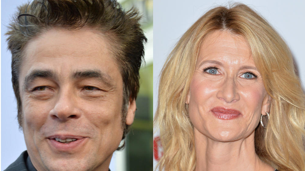 'Star Wars: Episode VIII': Disney bestätigt Neuzugänge Laura Dern und Benicio Del Toro Benicio Del Toro & Laura Dern spielen in "Star Wars: Episode VIII" mit