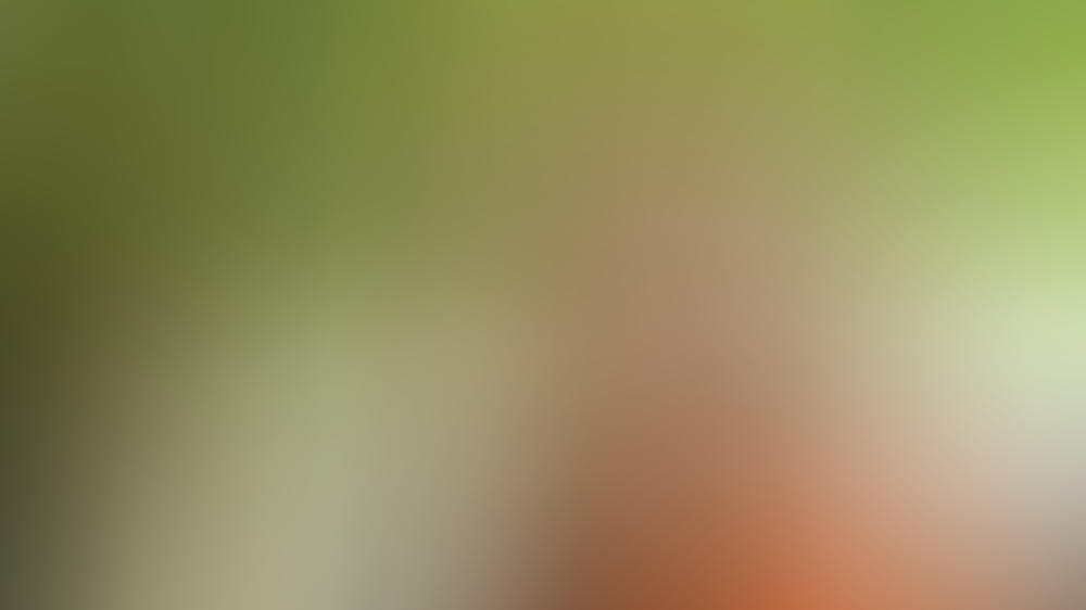 Veronica Ferres über ihre Rolle in 'Lena Fauch' und die Zukunft der ZDF-Reihe Veronica Ferres: "Eine Rock'n'Roll-Seelsorgerin wäre supercool"