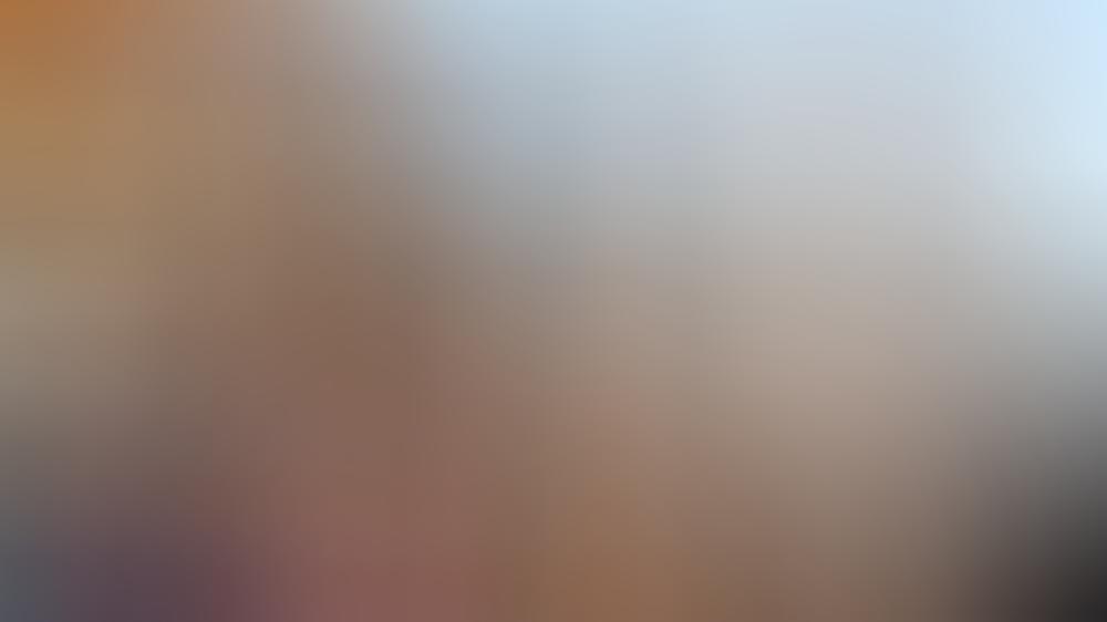 Micaela Schäfer wurde wegen freizügigem Oktoberfest-Auftritt von der Polizei abgeführt Micaela Schäfer: Zu freizügig für das Oktoberfest