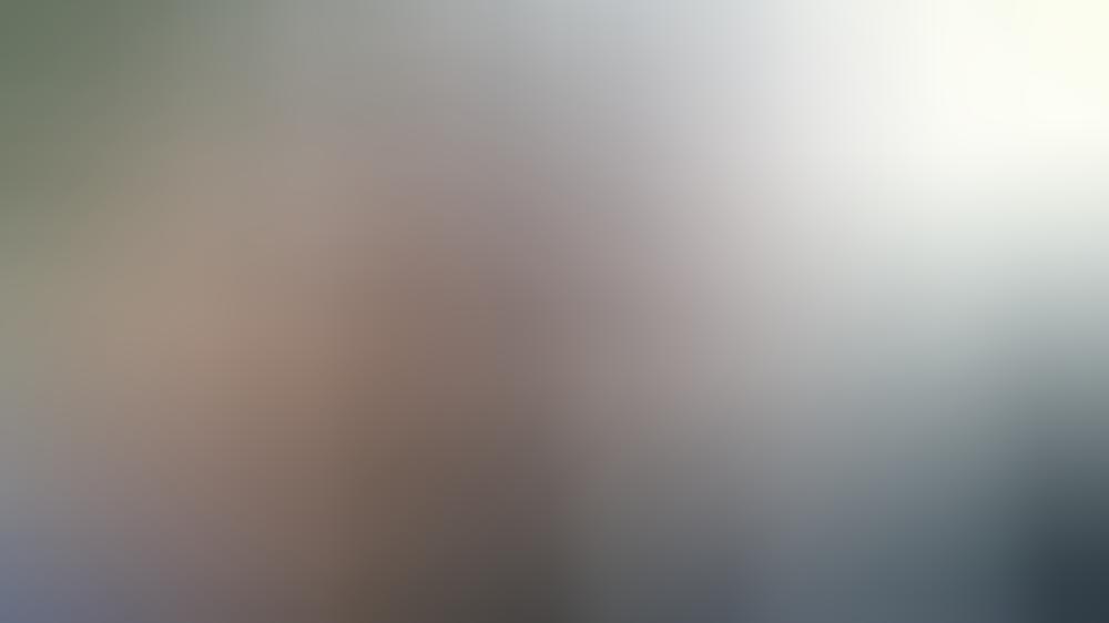 Tom Hanks überrascht New Yorker Brautpaar beim Hochzeitsfoto Wenn Tom Hanks durchs Hochzeitsfoto joggt