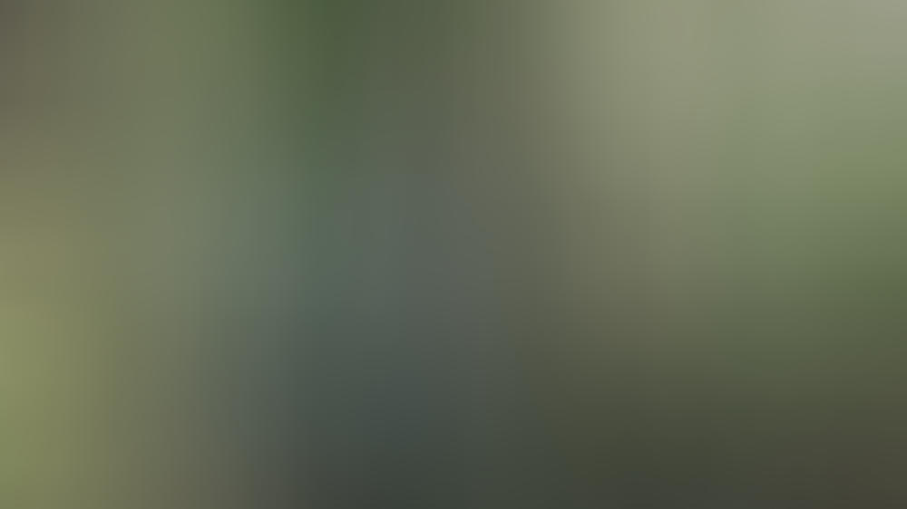 100-minütiger 'What the Fuck'-Moment: Daniel Radcliffe und Paul Dano in 'Swiss Army Man' "Swiss Army Man": Daniel Radcliffe als Allzweck-Furzkissen