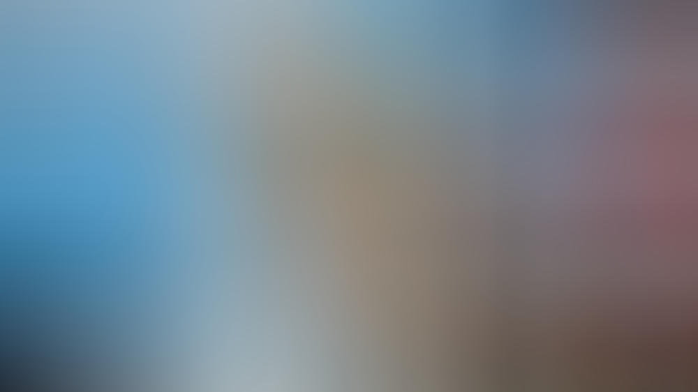 Barack Obama: Wechselt er vom Weißen Haus zu Netflix? Barack Obama: Wechselt er vom Weißen Haus zu Netflix?