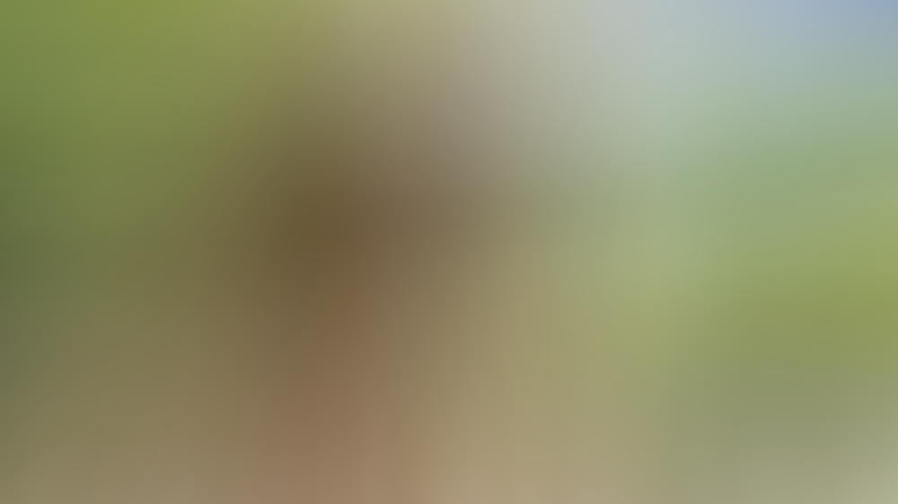 Sofia Vergara bringt es zum Jahresabschluss auf den Punkt Tweet des Tages