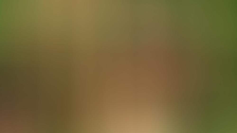Dschungelcamp - Tag 11: Honey sorgt für eine Überraschung - Gina-Lisa muss gehen Dschungelcamp - Tag 11: Honey macht mal was richtig - Gina-Lisa fliegt