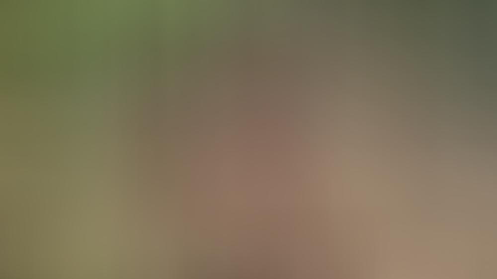 Dschungelcamp – Tag 13: Kader Loth schießt gegen Hanka Rackwitz, Jens Büchner fliegt raus Dschungelcamp - Tag 13: Kader vs. Hanka und Jens fliegt