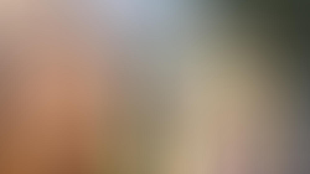 Nina Dobrev kehrt für das 'Vampire Diaries'-Finale als Elena Gilbert zurück "Vampire Diaries"-Abschied: Candice King über Nina Dobrevs Rückkehr
