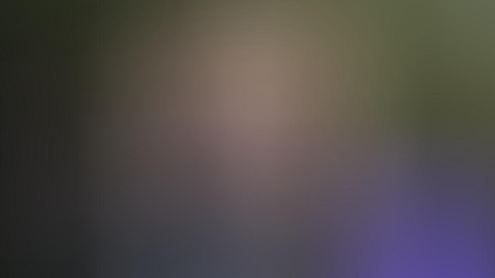 Deborah Harry lernt keine Männer kennen Deborah Harry lernt keine Männer kennen