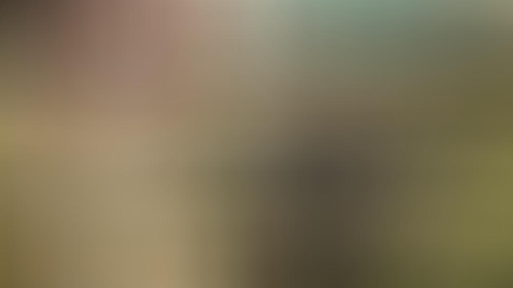 Barbara Meier zeigt sich tierlieb Barbara Meier zeigt sich tierlieb