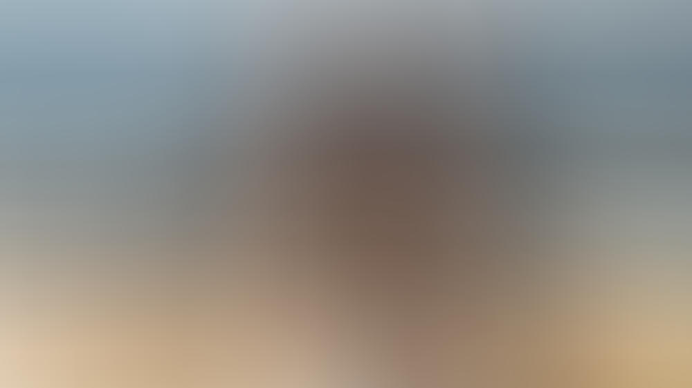 Demi Lovato zeigt ihre Weiblichkeit Demi Lovato zeigt ihre Weiblichkeit