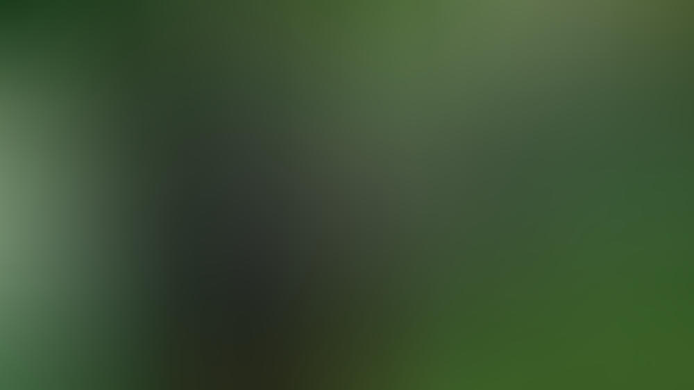 "Okja" auf Netflix: Ist der Cannes-Film wirklich skandalös? "Okja" auf Netflix: Ist der Cannes-Film wirklich skandalös?