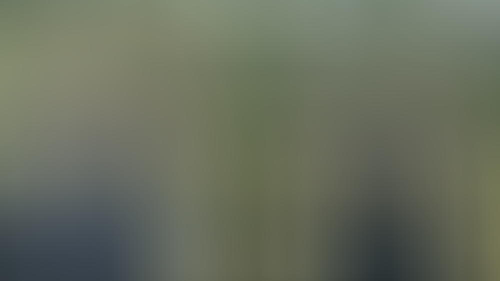 Krimi-Tipps am Freitag Krimi-Tipps am Freitag
