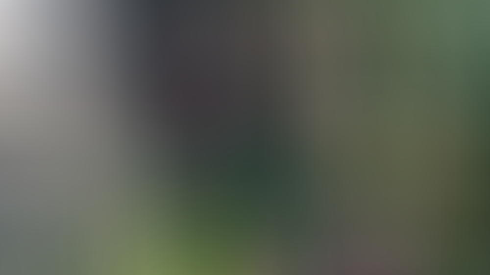 Sarah Kuttner setzt einen drauf Sarah Kuttner setzt einen drauf