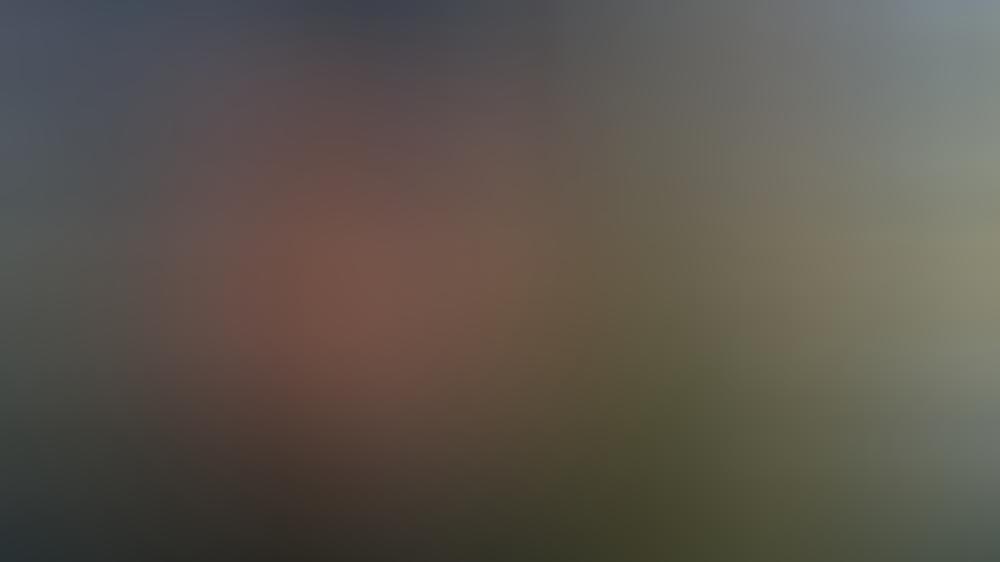LaFee steigt bei "Alles was zählt" aus LaFee steigt bei "Alles was zählt" aus